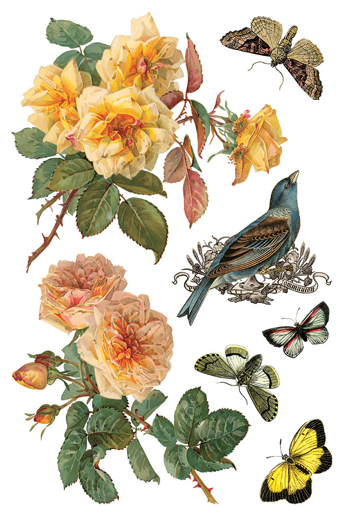 By Any Other Name | Transfer | IOD Iron Orchid Designs