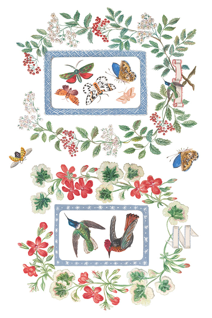 Emily Clare | Transfer | IOD Iron Orchid Designs