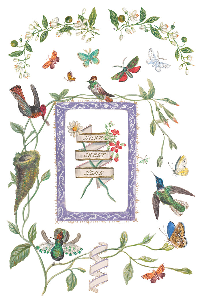 Emily Clare | Transfer | IOD Iron Orchid Designs