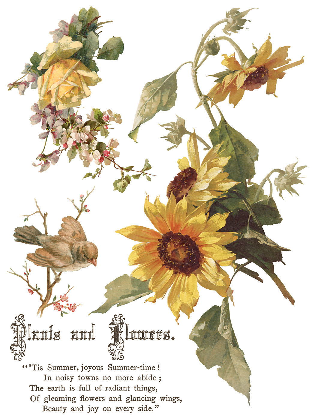 Flowers by the Poets | Transfer | IOD Iron Orchid Designs