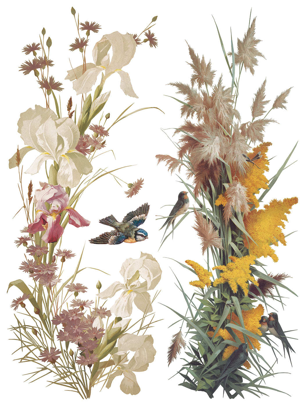 Flowers by the Poets | Transfer | IOD Iron Orchid Designs