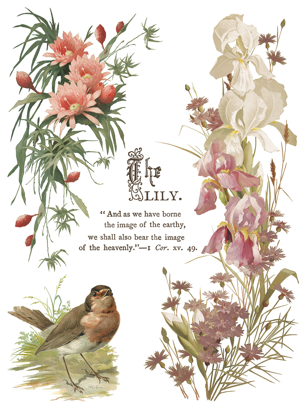 Flowers by the Poets | Transfer | IOD Iron Orchid Designs