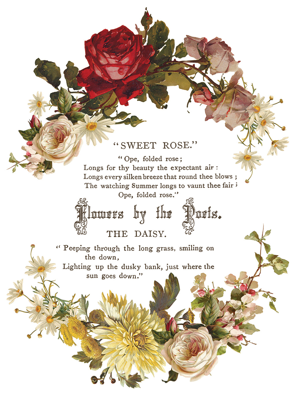 Flowers by the Poets | Transfer | IOD Iron Orchid Designs