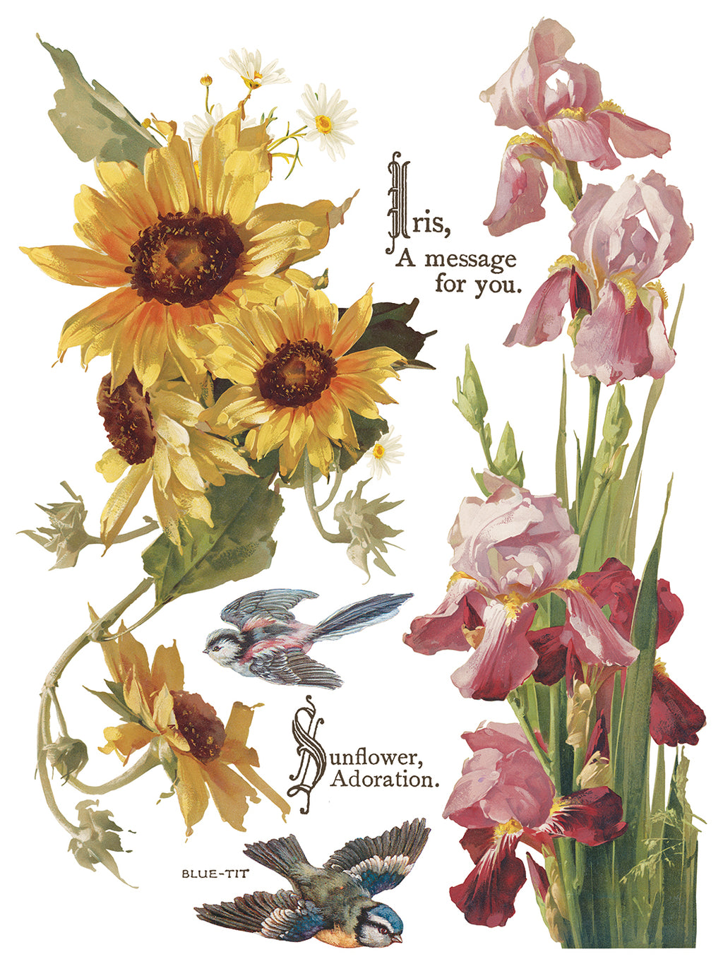 Flowers by the Poets | Transfer | IOD Iron Orchid Designs