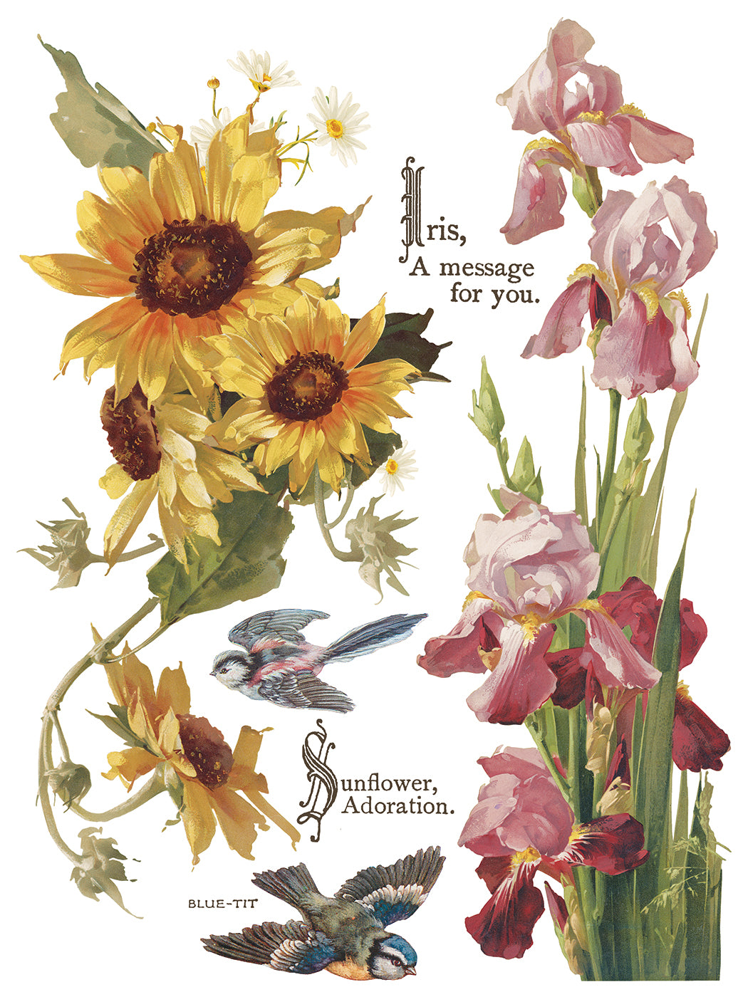 Flowers by the Poets | Transfer | IOD Iron Orchid Designs