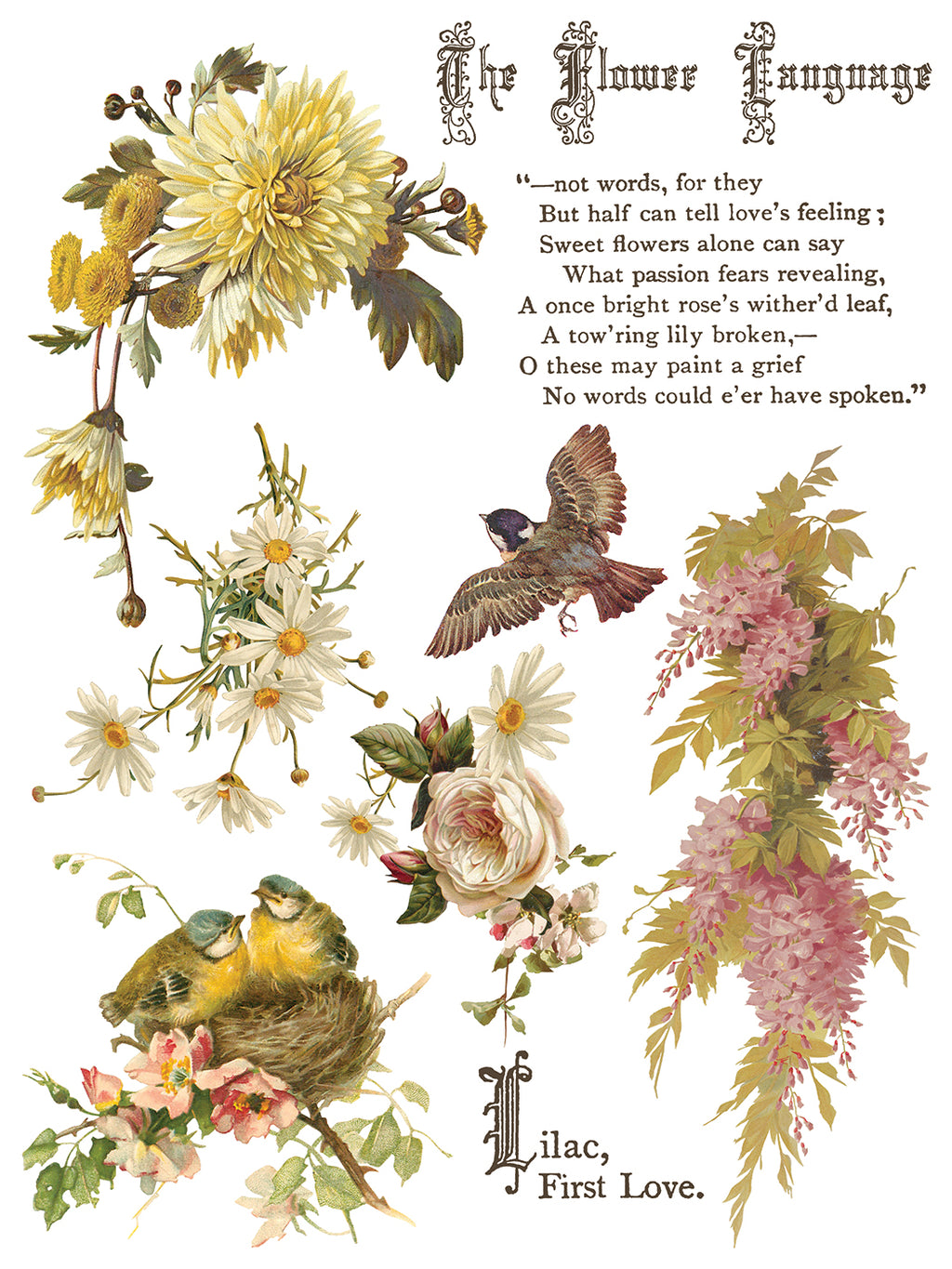 Flowers by the Poets | Transfer | IOD Iron Orchid Designs