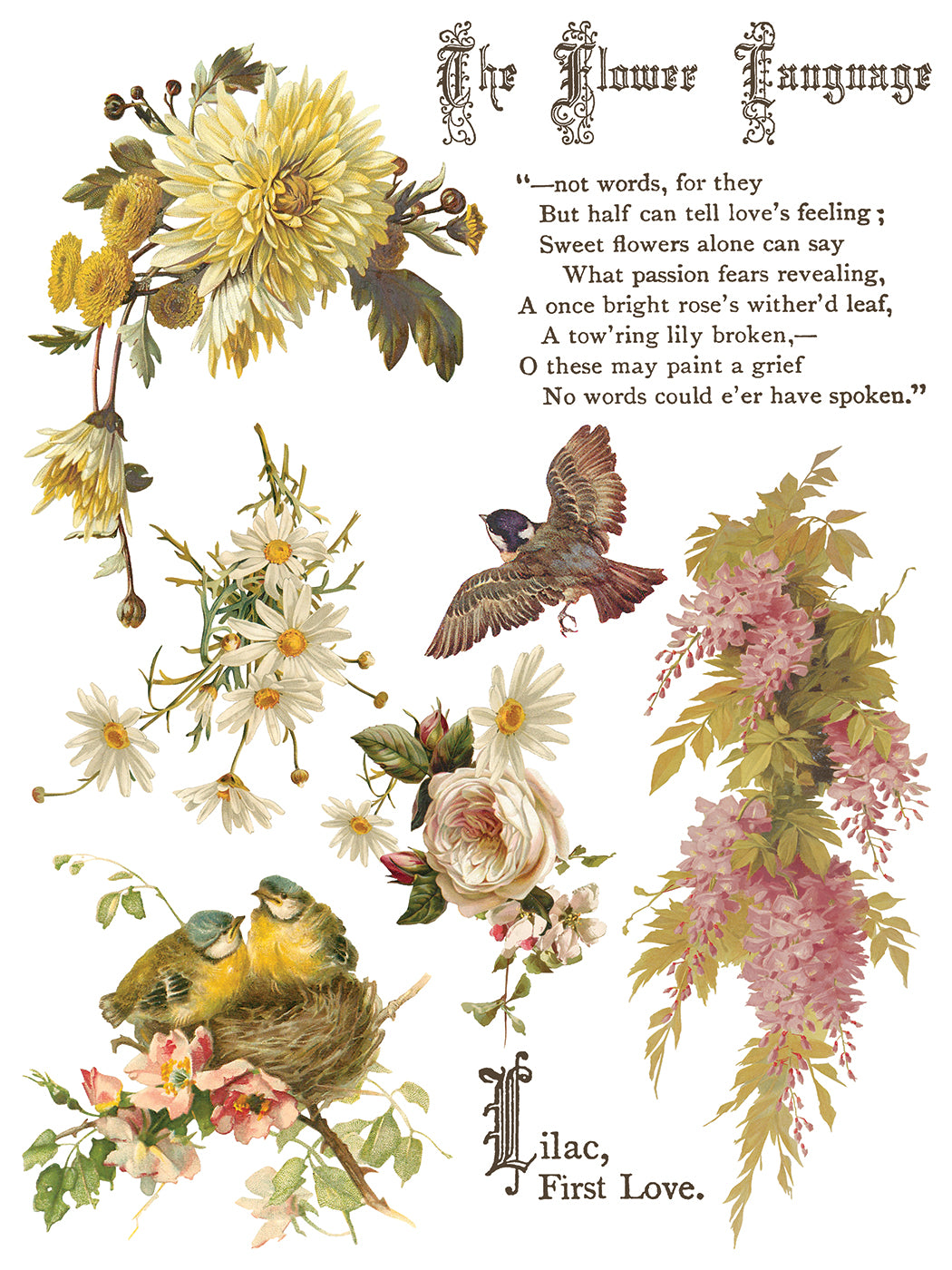Flowers by the Poets | Transfer | IOD Iron Orchid Designs