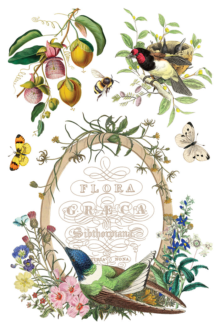 Flora Greca | Transfer | IOD Iron Orchid Designs