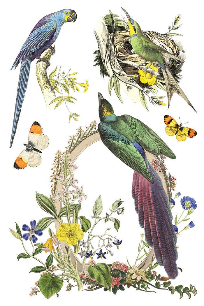 Flora Greca | Transfer | IOD Iron Orchid Designs