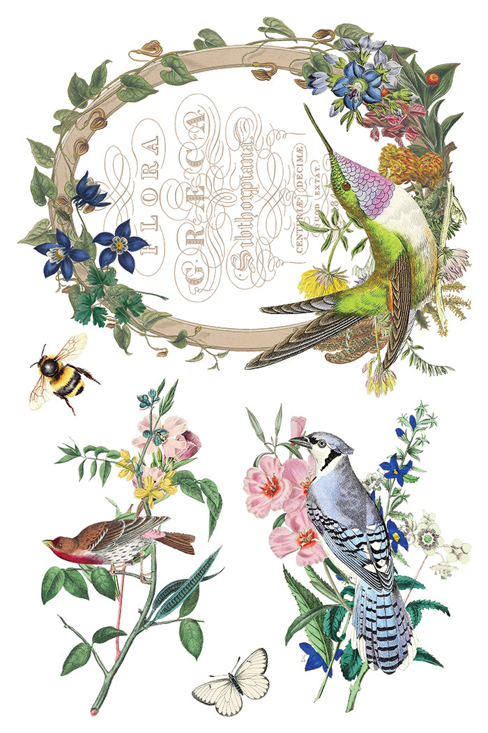 Flora Greca | Transfer | IOD Iron Orchid Designs