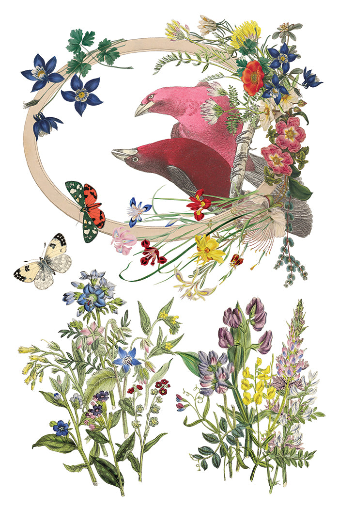 Flora Greca | Transfer | IOD Iron Orchid Designs