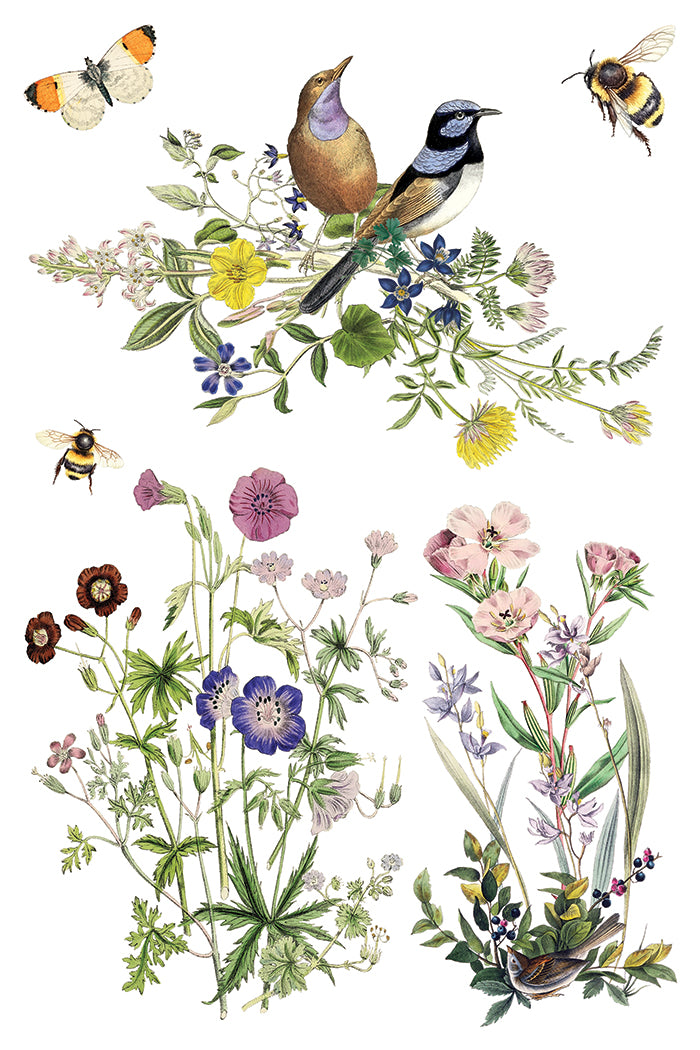 Flora Greca | Transfer | IOD Iron Orchid Designs