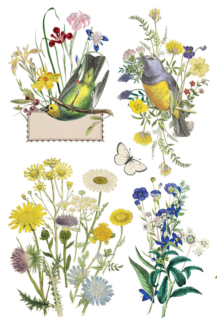 Flora Greca | Transfer | IOD Iron Orchid Designs