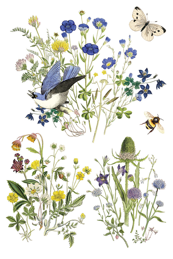 Flora Greca | Transfer | IOD Iron Orchid Designs