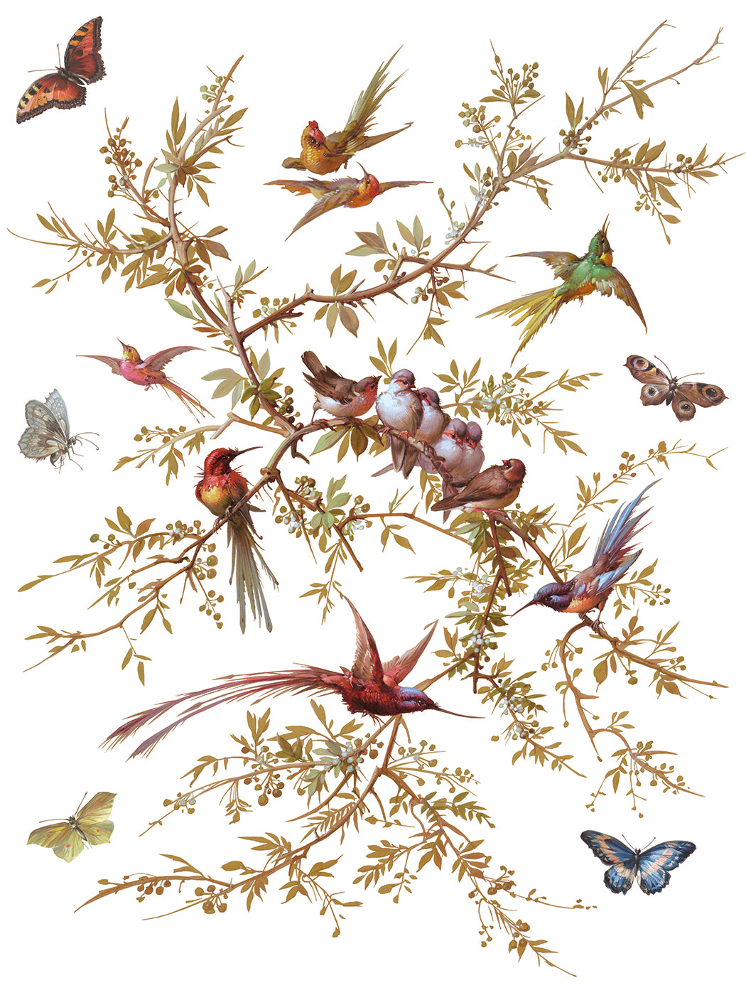 Madeleine | Transfer | IOD Iron Orchid Designs