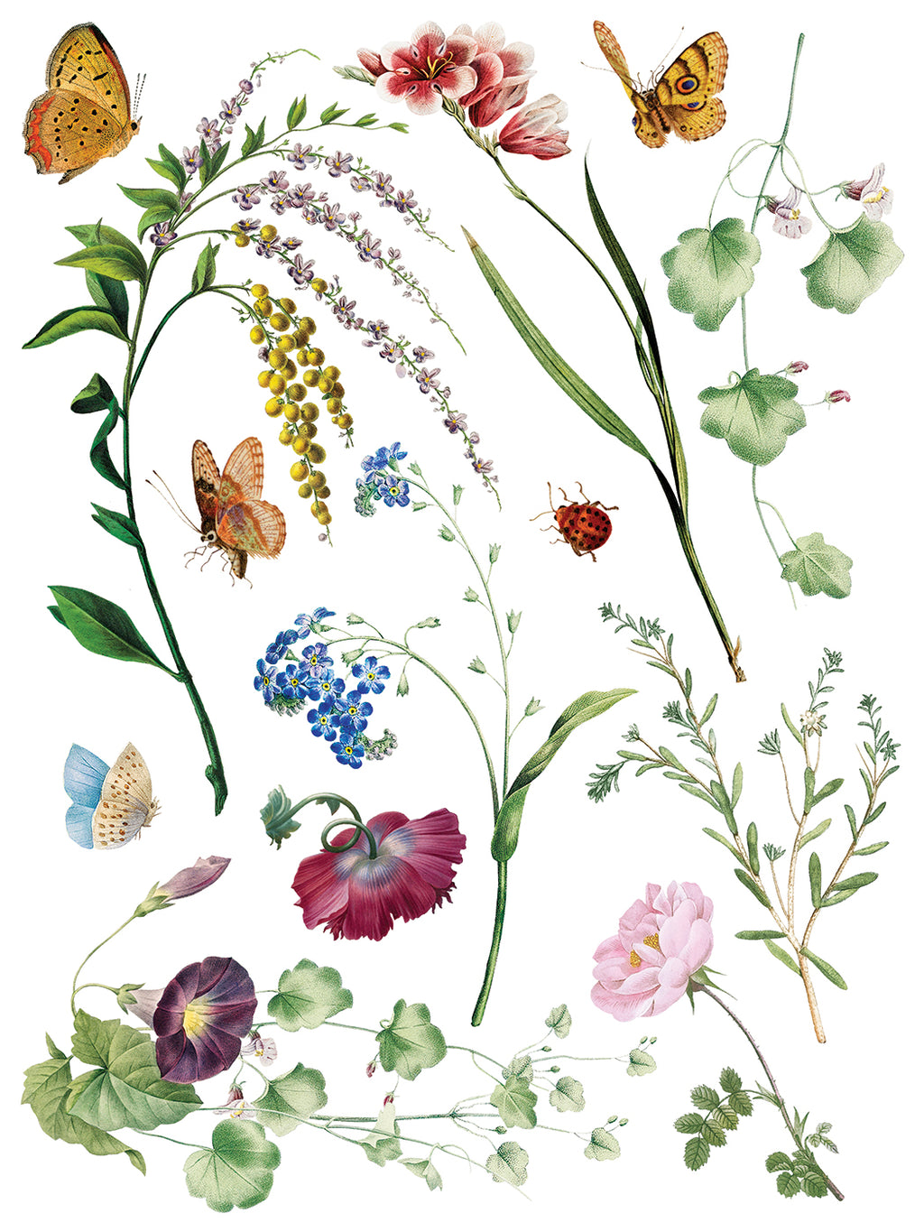Marché des Fleurs | Transfer | IOD Iron Orchid Designs