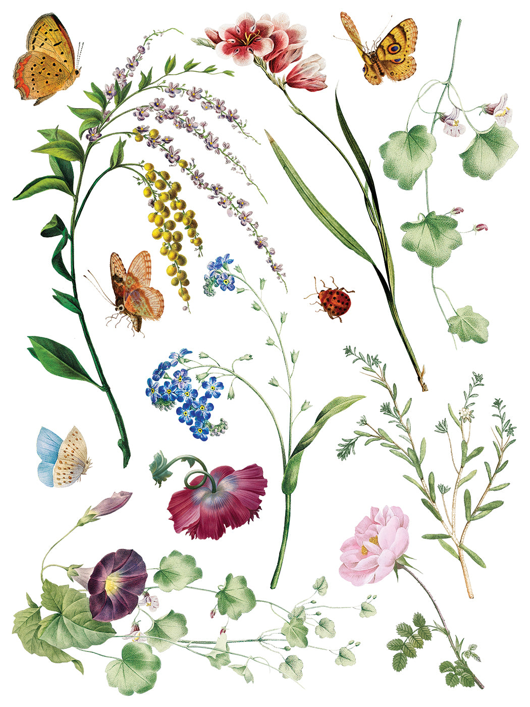 Marché des Fleurs | Transfer | IOD Iron Orchid Designs