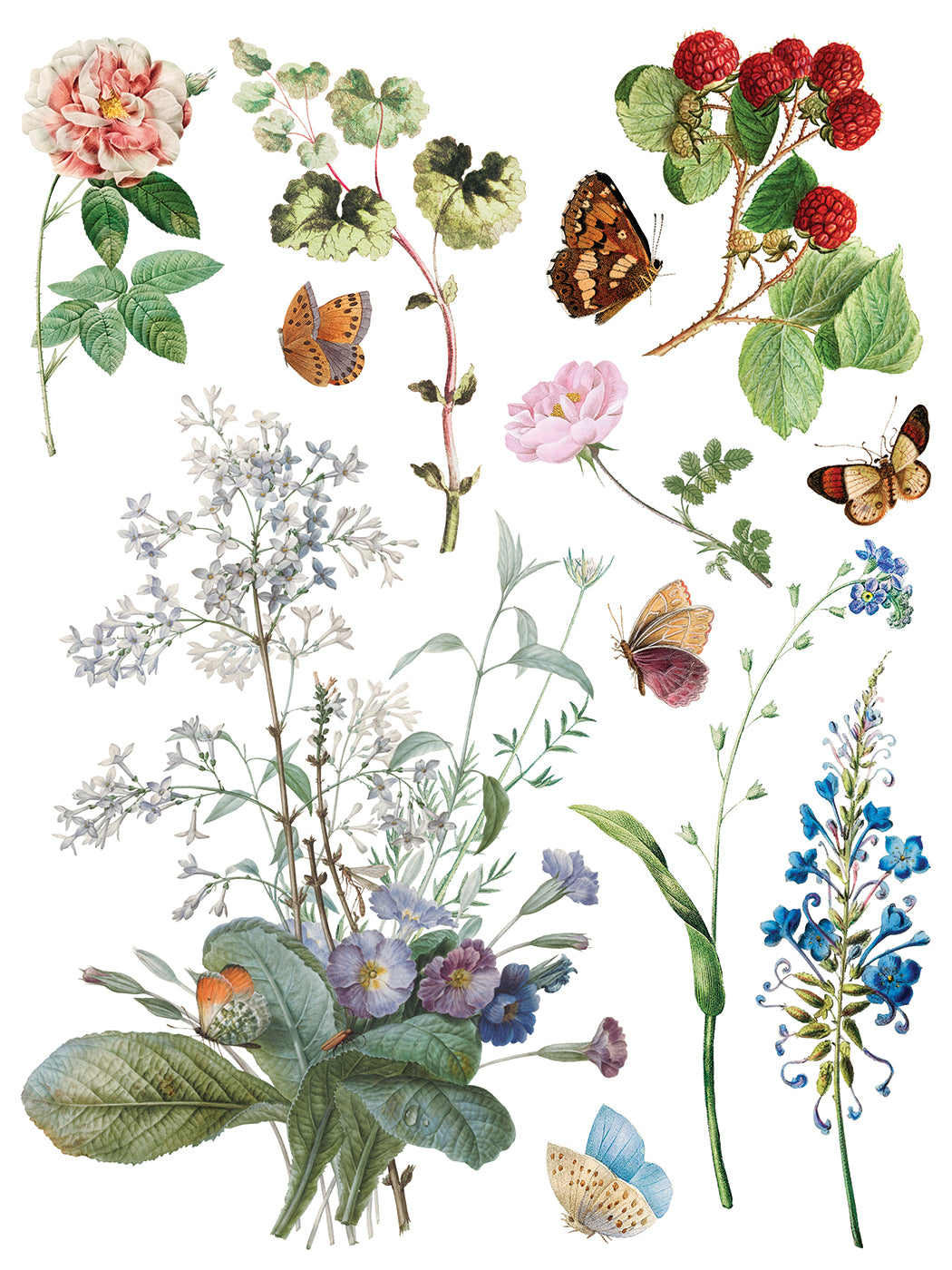 Marché des Fleurs | Transfer | IOD Iron Orchid Designs