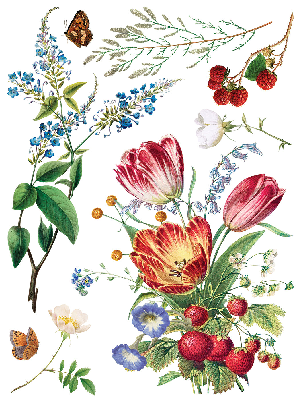 Marché des Fleurs | Transfer | IOD Iron Orchid Designs