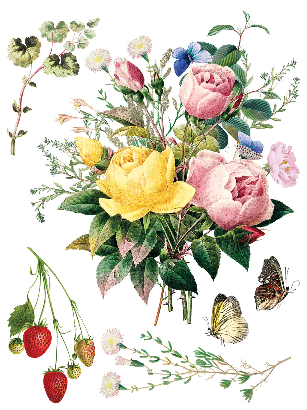 Marché des Fleurs | Transfer | IOD Iron Orchid Designs