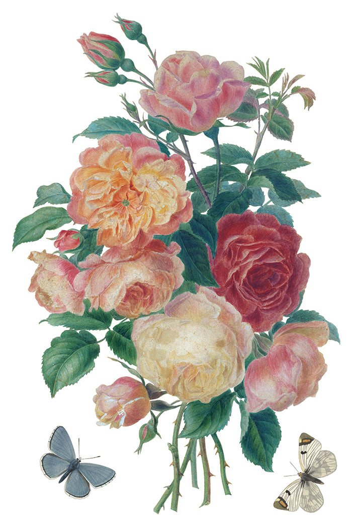 Saint Ouen | Transfer | IOD Iron Orchid Designs