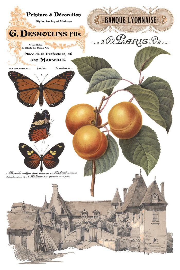 Saint Ouen | Transfer | IOD Iron Orchid Designs