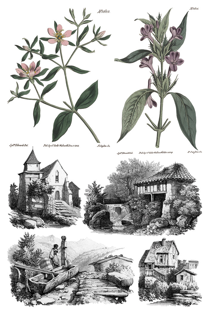 Saint Ouen | Transfer | IOD Iron Orchid Designs