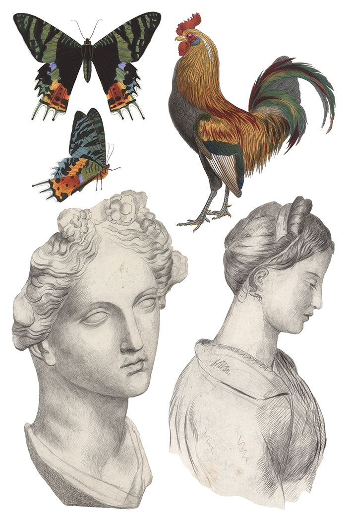Saint Ouen | Transfer | IOD Iron Orchid Designs