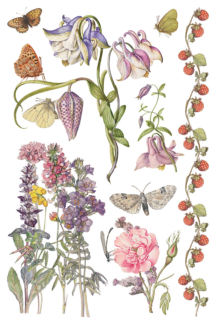 Primrose Isle | Transfer | IOD Iron Orchid Designs