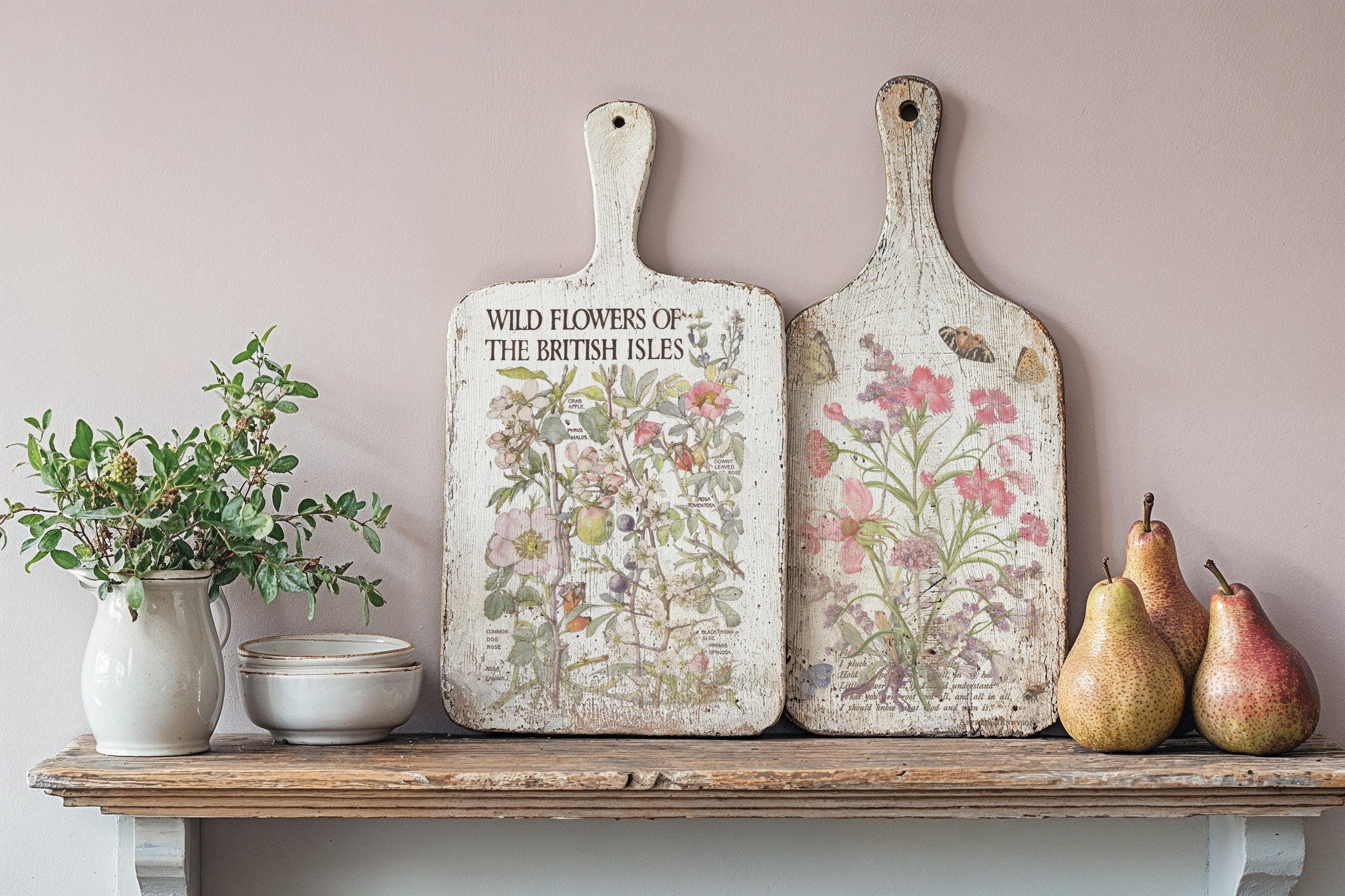 Primrose Isle | Transfer | IOD Iron Orchid Designs