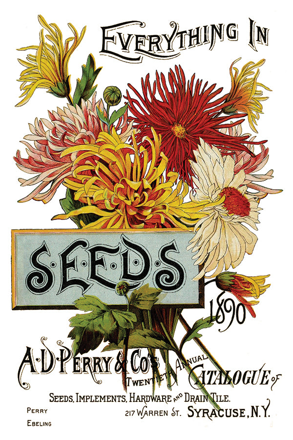 Seed Catalogue | Transfer | IOD Iron Orchid Designs