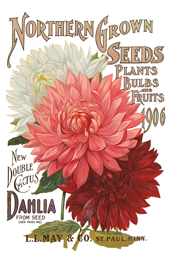 Seed Catalogue | Transfer | IOD Iron Orchid Designs