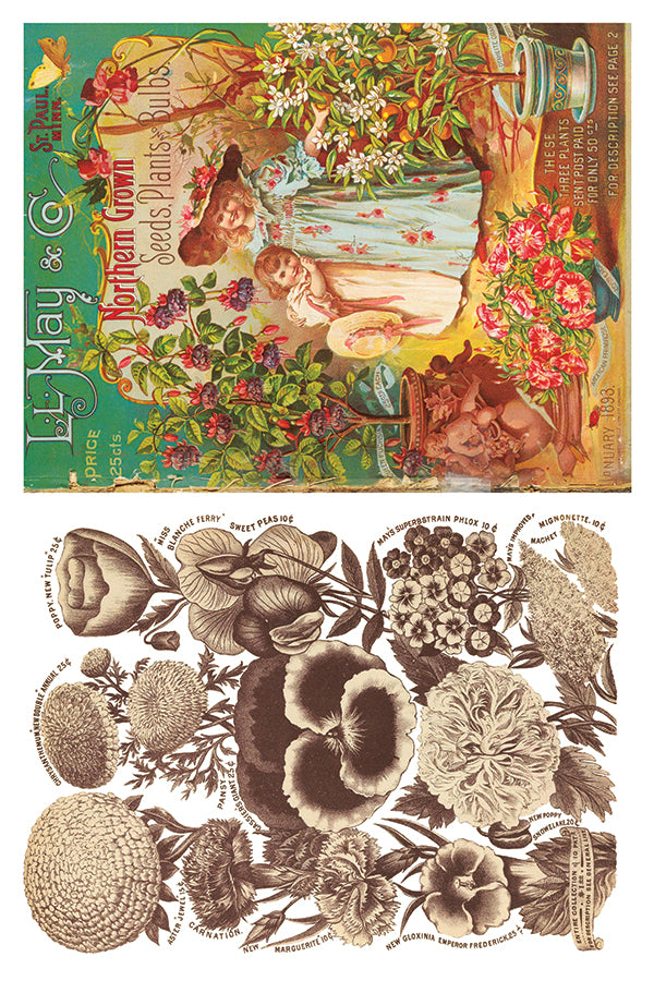 Seed Catalogue | Transfer | IOD Iron Orchid Designs
