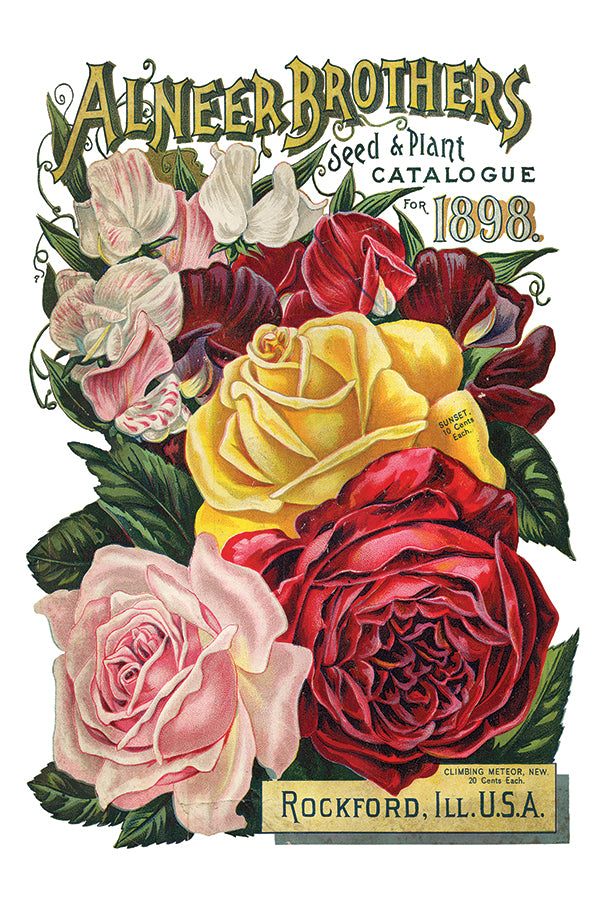 Seed Catalogue | Transfer | IOD Iron Orchid Designs