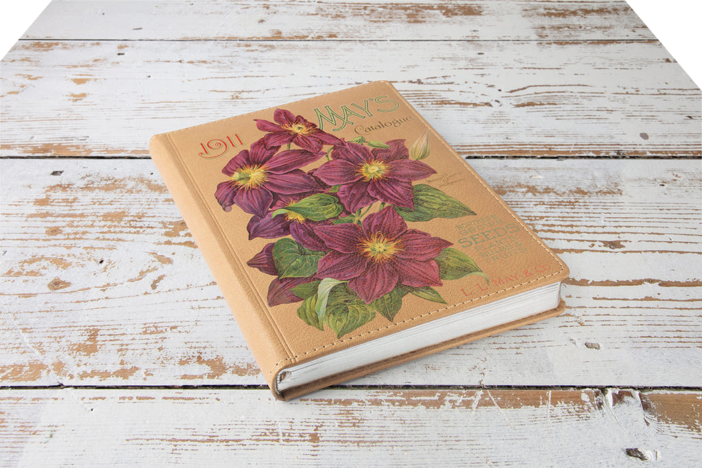 Seed Catalogue | Transfer | IOD Iron Orchid Designs