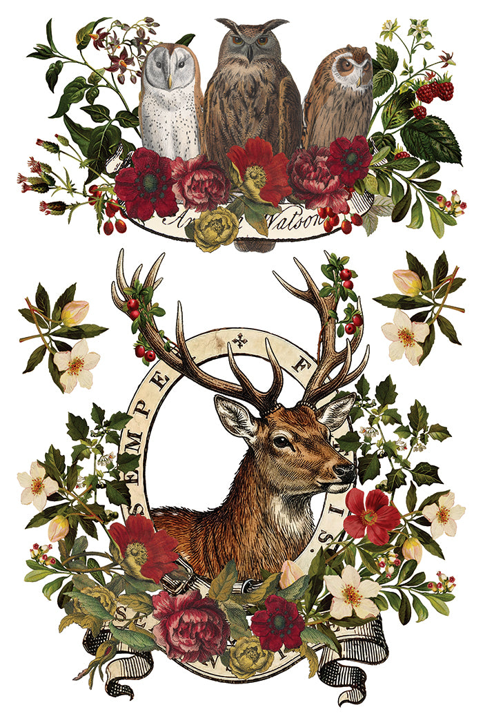 Stag Tavern | Transfer | IOD Iron Orchid Designs