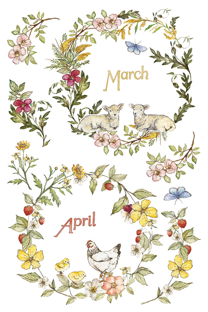 The Bramblewood Diaries | Transfer | IOD Iron Orchid Designs