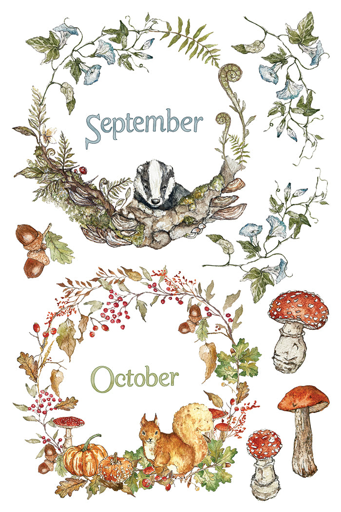 The Bramblewood Diaries | Transfer | IOD Iron Orchid Designs