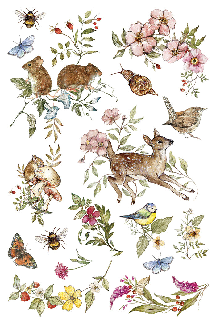 The Bramblewood Diaries | Transfer | IOD Iron Orchid Designs