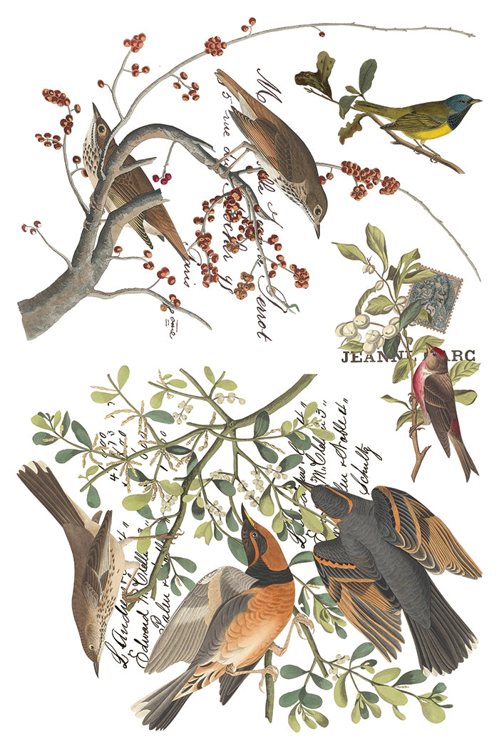 Winter's Calling | Transfer | IOD Iron Orchid Designs