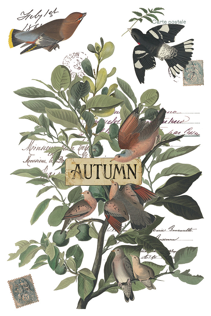 Winter's Calling | Transfer | IOD Iron Orchid Designs