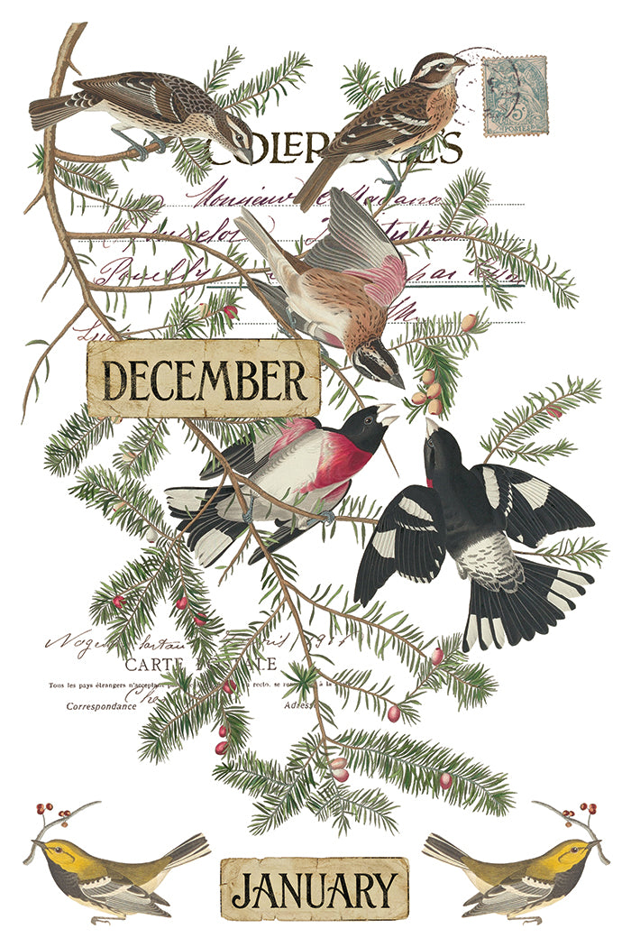 Winter's Calling | Transfer | IOD Iron Orchid Designs