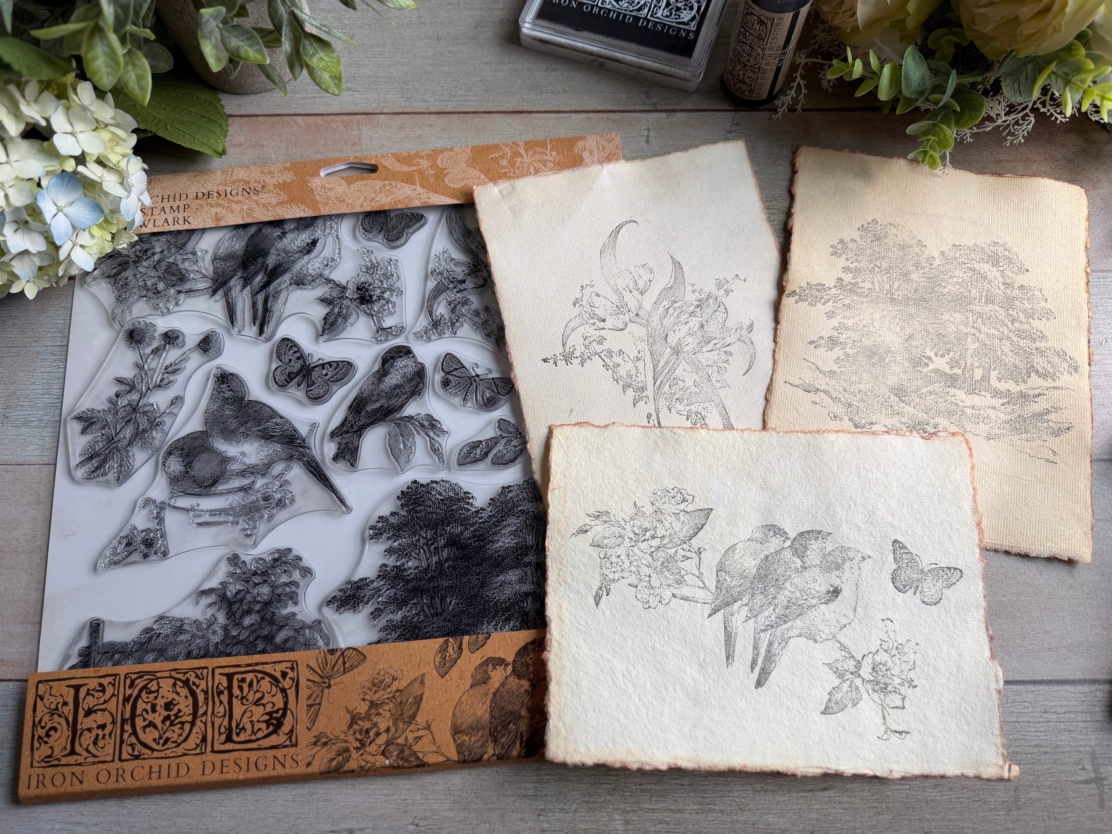 Meadowlark | Stamp | IOD Iron Orchid Designs