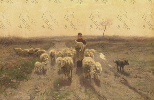 Sheep at Sunset | JRV Medium Rice Paper