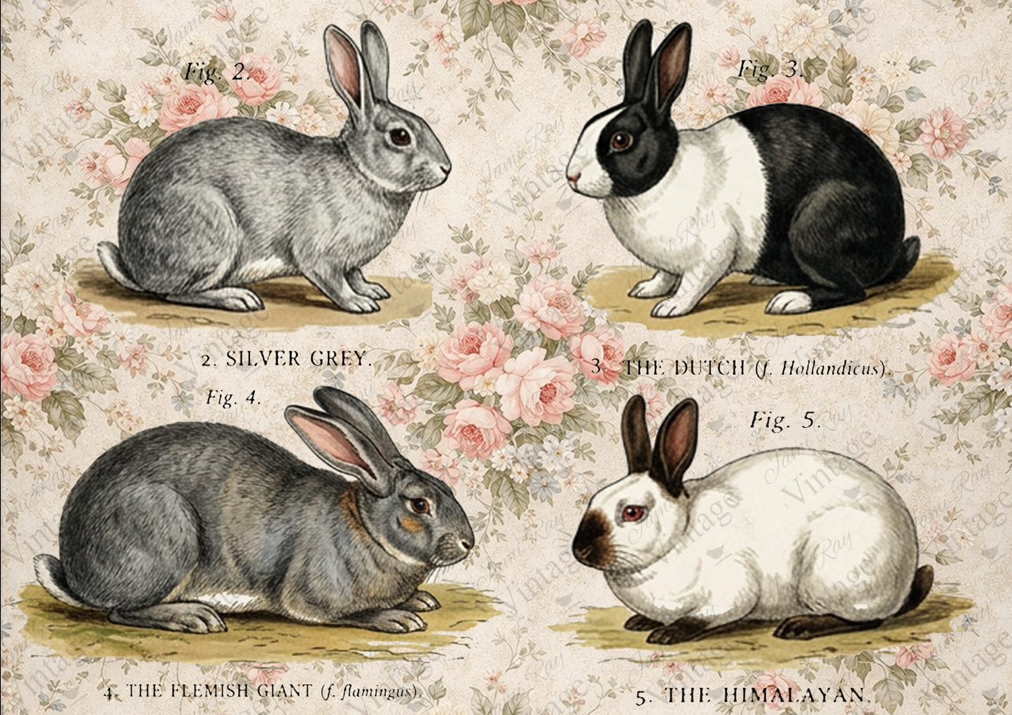 Floral Bunnies | JRV A4 Rice Paper