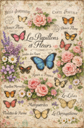 French Ephemera | JRV Medium Rice Paper