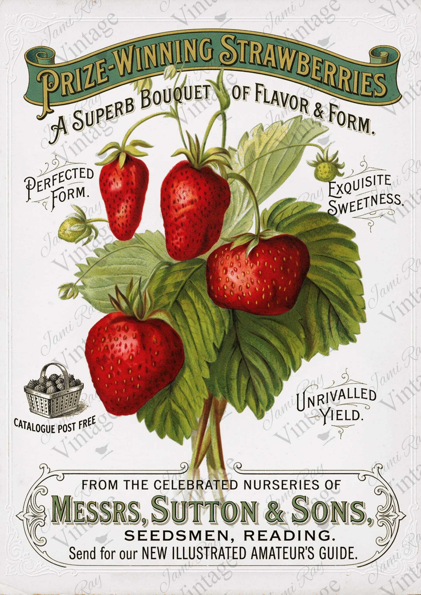 Strawberry Advertising | JRV A4 Rice Paper