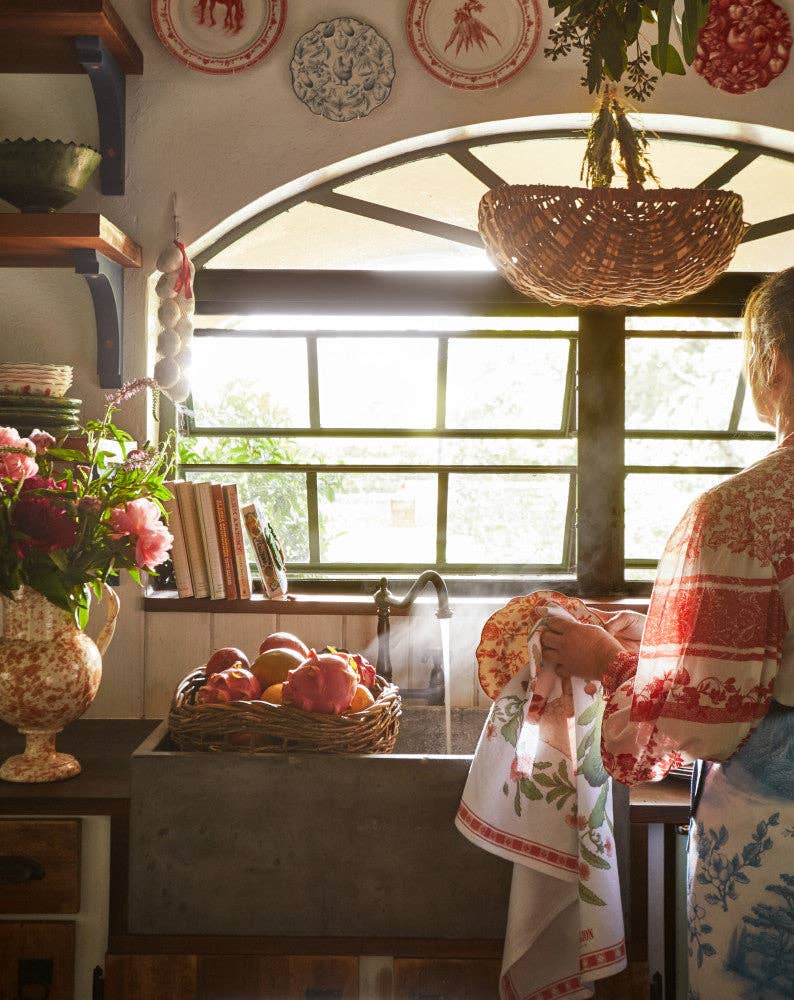 Red Farm Toile Apron & Tea Towels Set