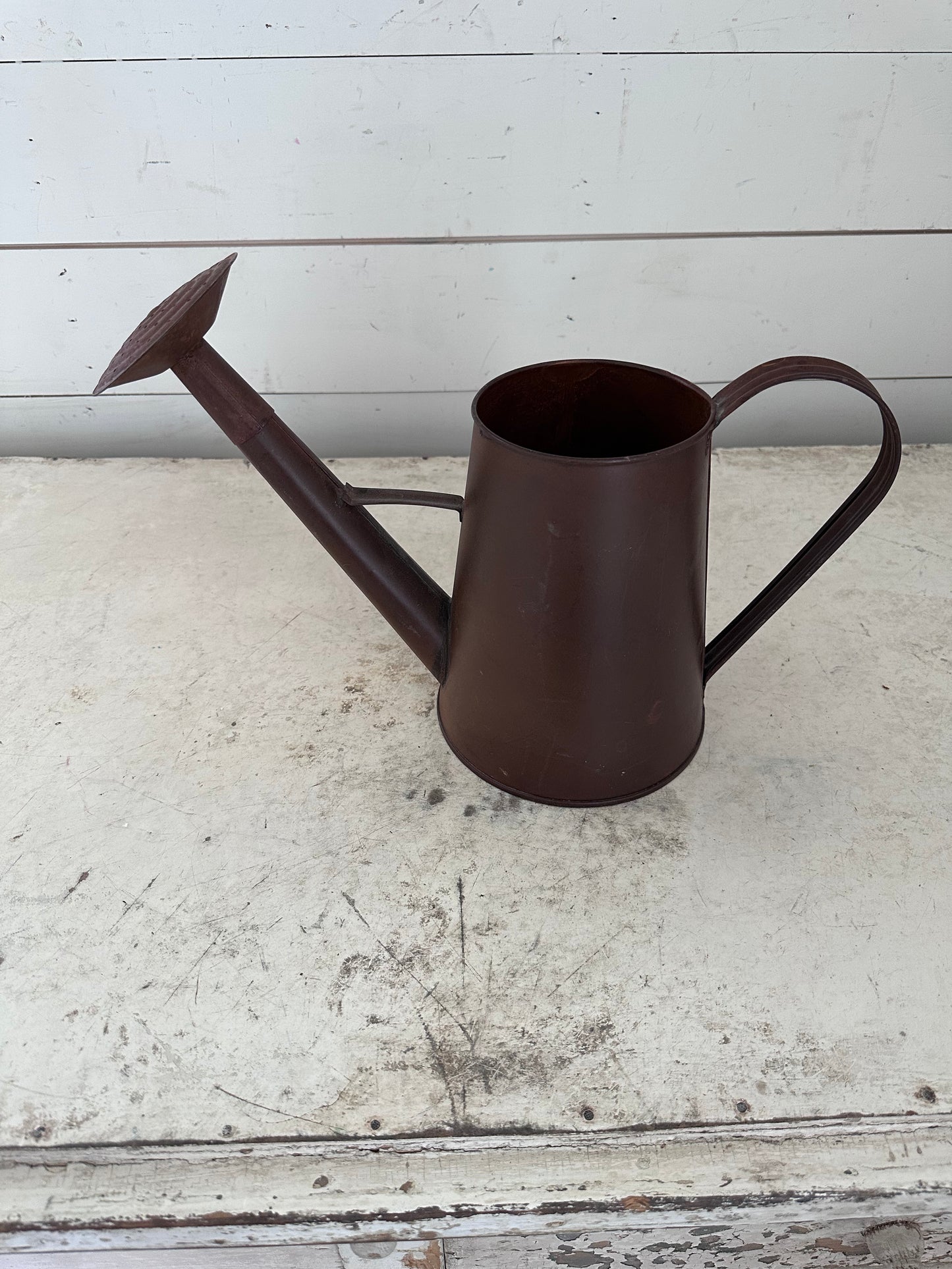 Rusted Watering Can