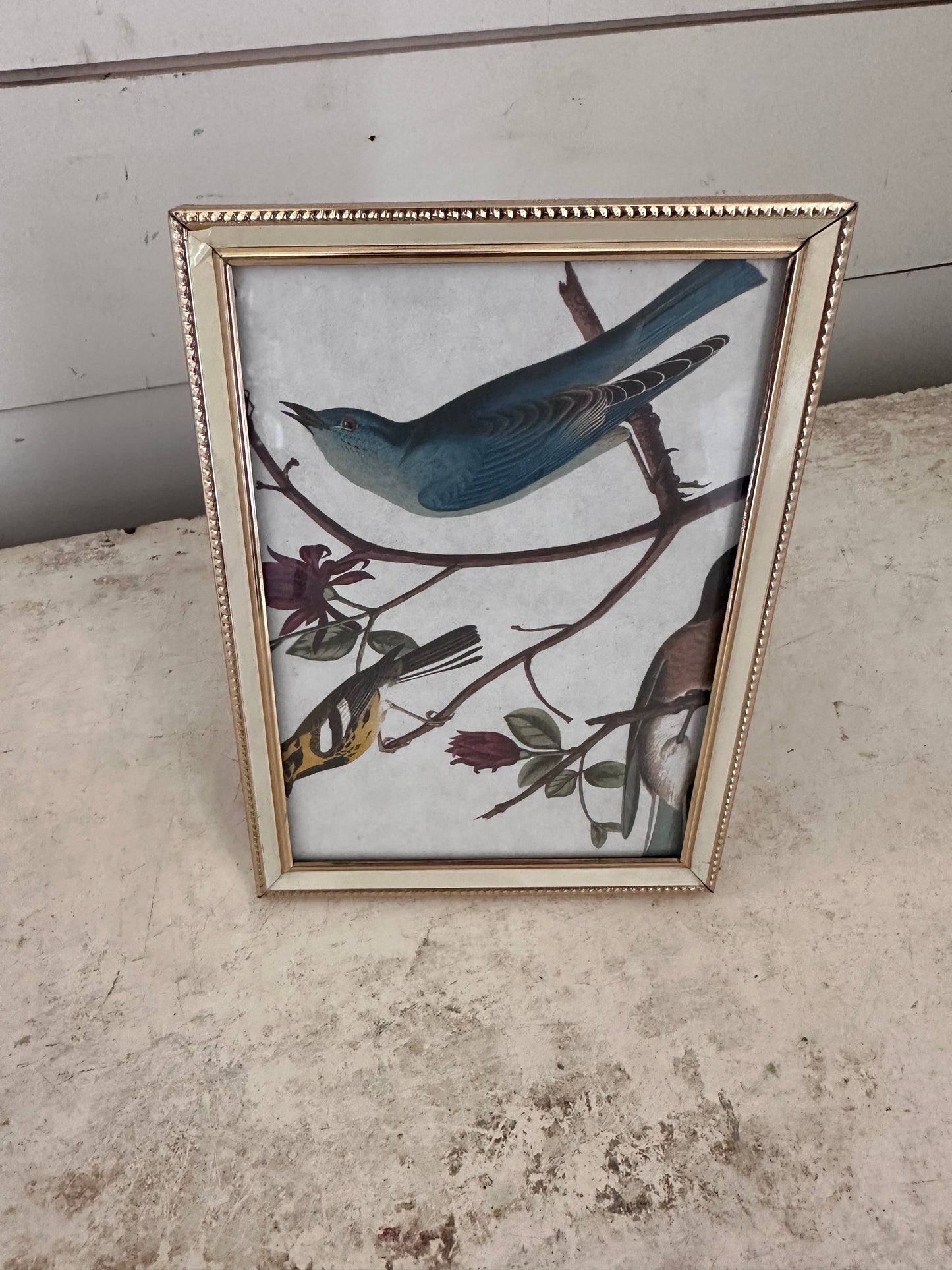Silver Frame With Blue Bird Print